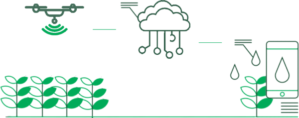 FITD Project Image